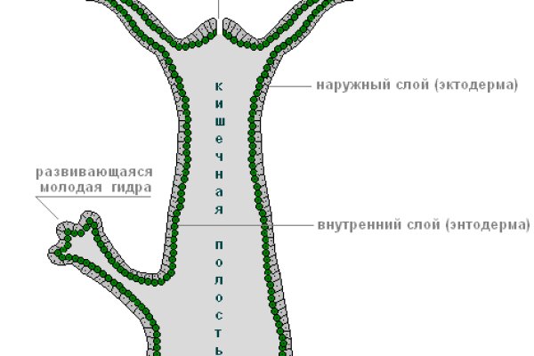 Запрещенный сайт кракен